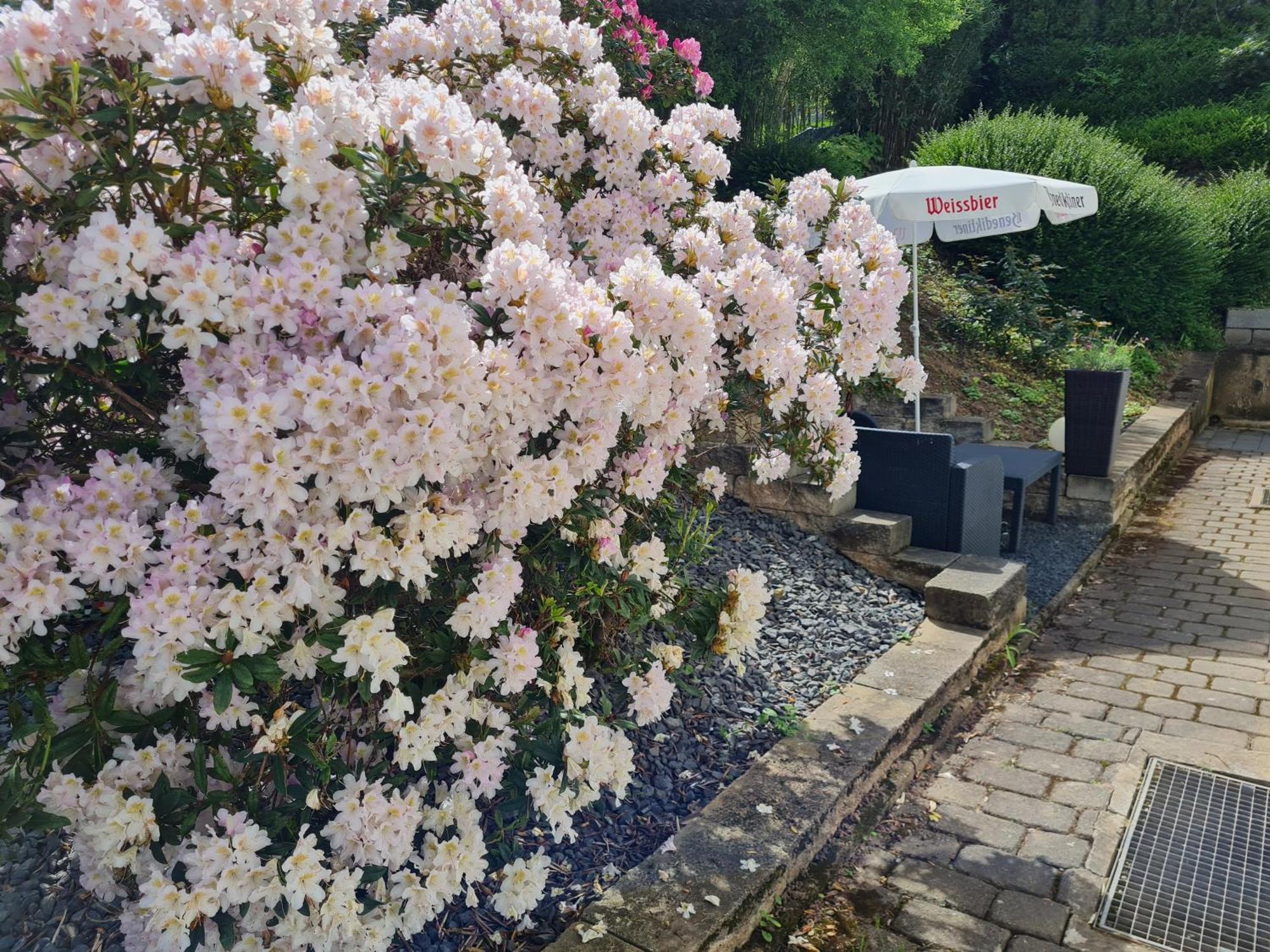 Ferienhaus Am Reilsbach โคเคห์ม ภายนอก รูปภาพ